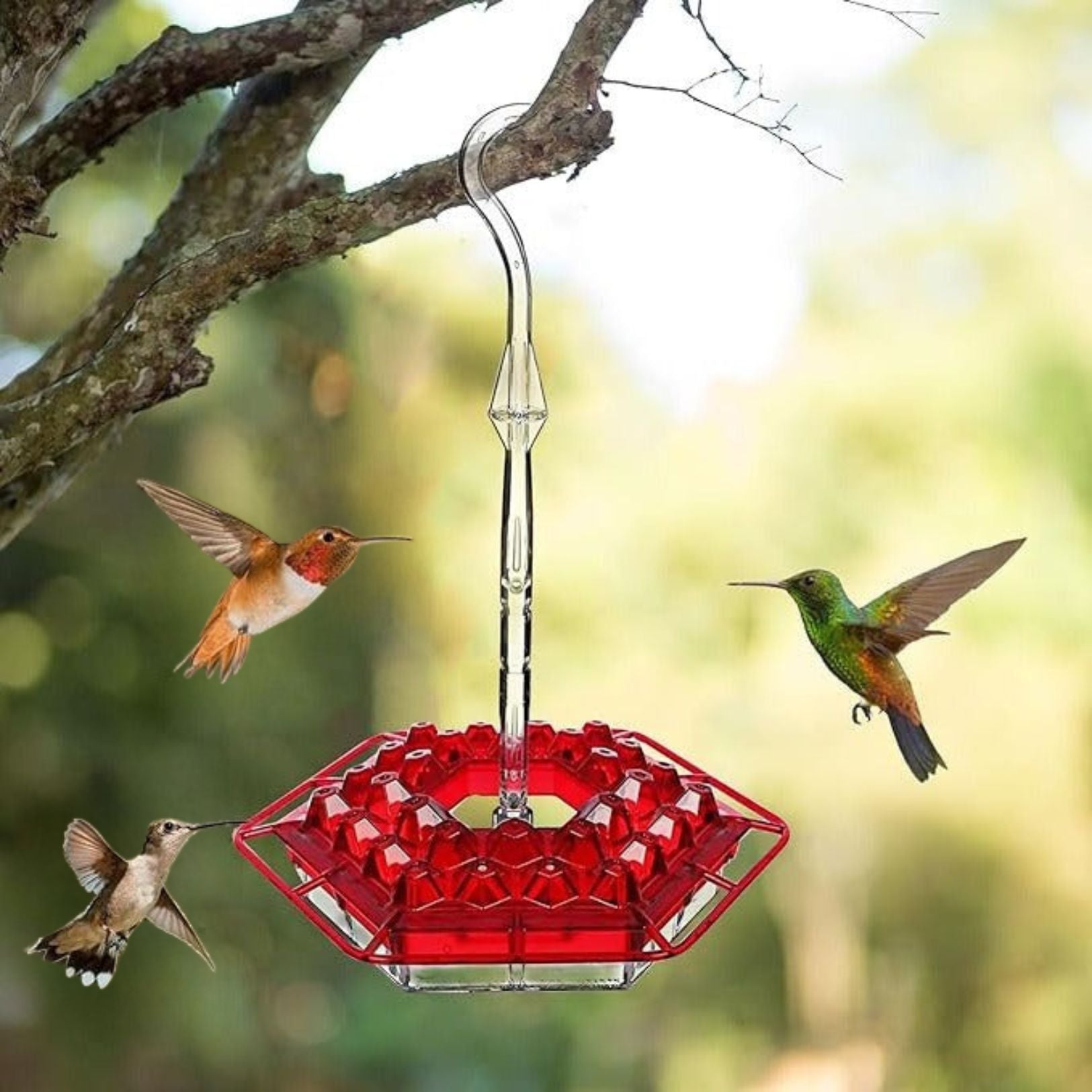 Ant Proof Hummingbird Feeder with Hanging Perch – Outdoor Garden, Patio