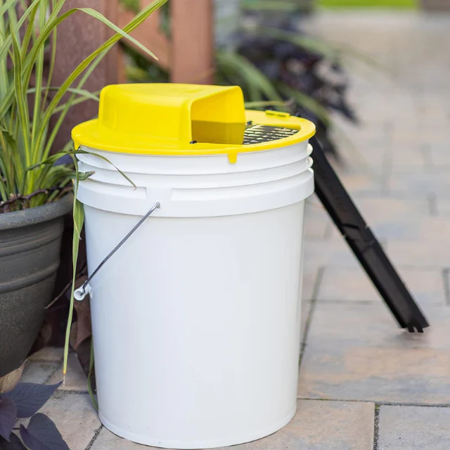 Reusable Humane Mouse Trap – Live Catch, Easy to Use