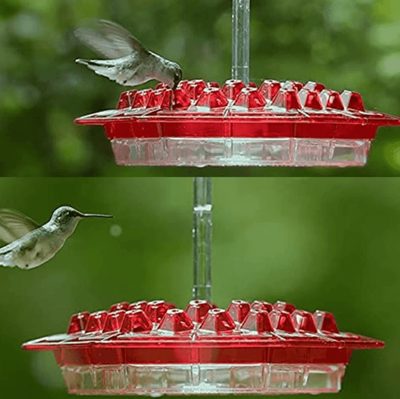 Ant Proof Hummingbird Feeder – Outdoor Hanging Perch for Garden Party & Summer Holiday