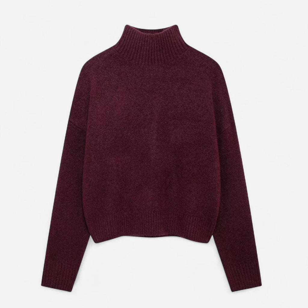 Elegant Turtleneck Sweater Women – Casual, Office