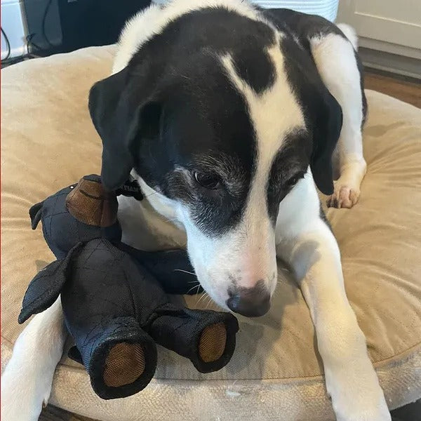 Indestructible Bear Dog Toys for Heavy Chewers – Interactive Play, Durable Fun