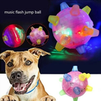 Jumping Activation Ball for Dogs – Interactive Play, Training
