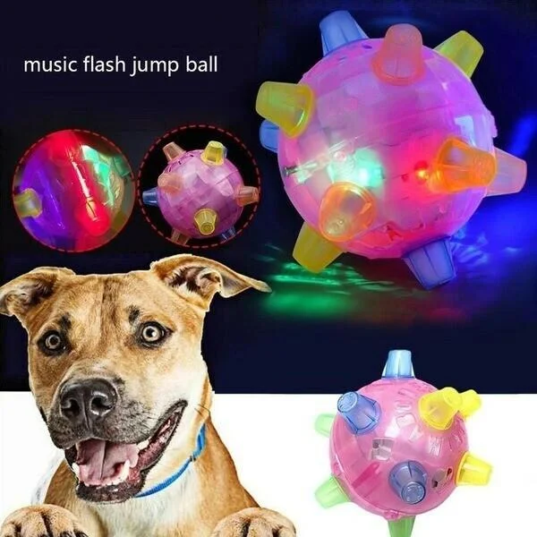 Jumping Activation Ball for Dogs – Interactive Play, Training