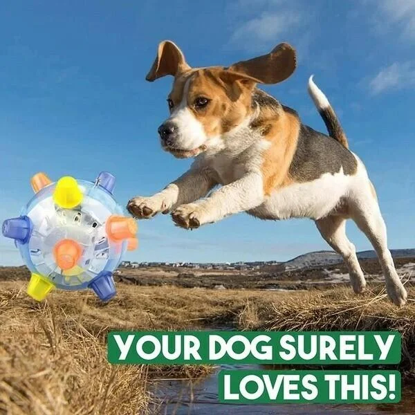 Jumping Activation Ball for Dogs – Interactive Play, Training