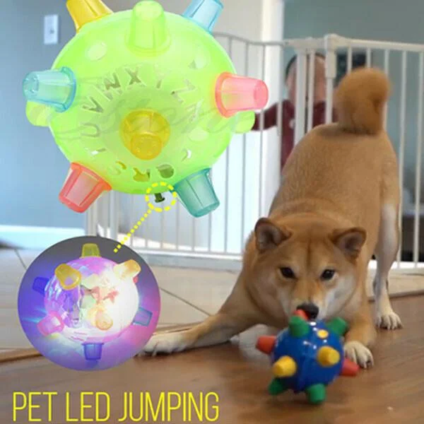 Jumping Activation Ball for Dogs – Interactive Play, Training