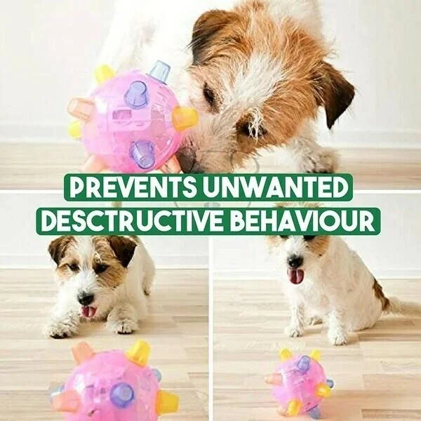 Jumping Activation Ball for Dogs – Interactive Play, Training