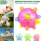 Jumping Activation Ball for Dogs – Interactive Play, Training