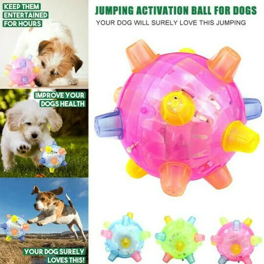 Jumping Activation Ball for Dogs – Interactive Play, Training