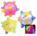 Jumping Activation Ball for Dogs – Interactive Play, Training