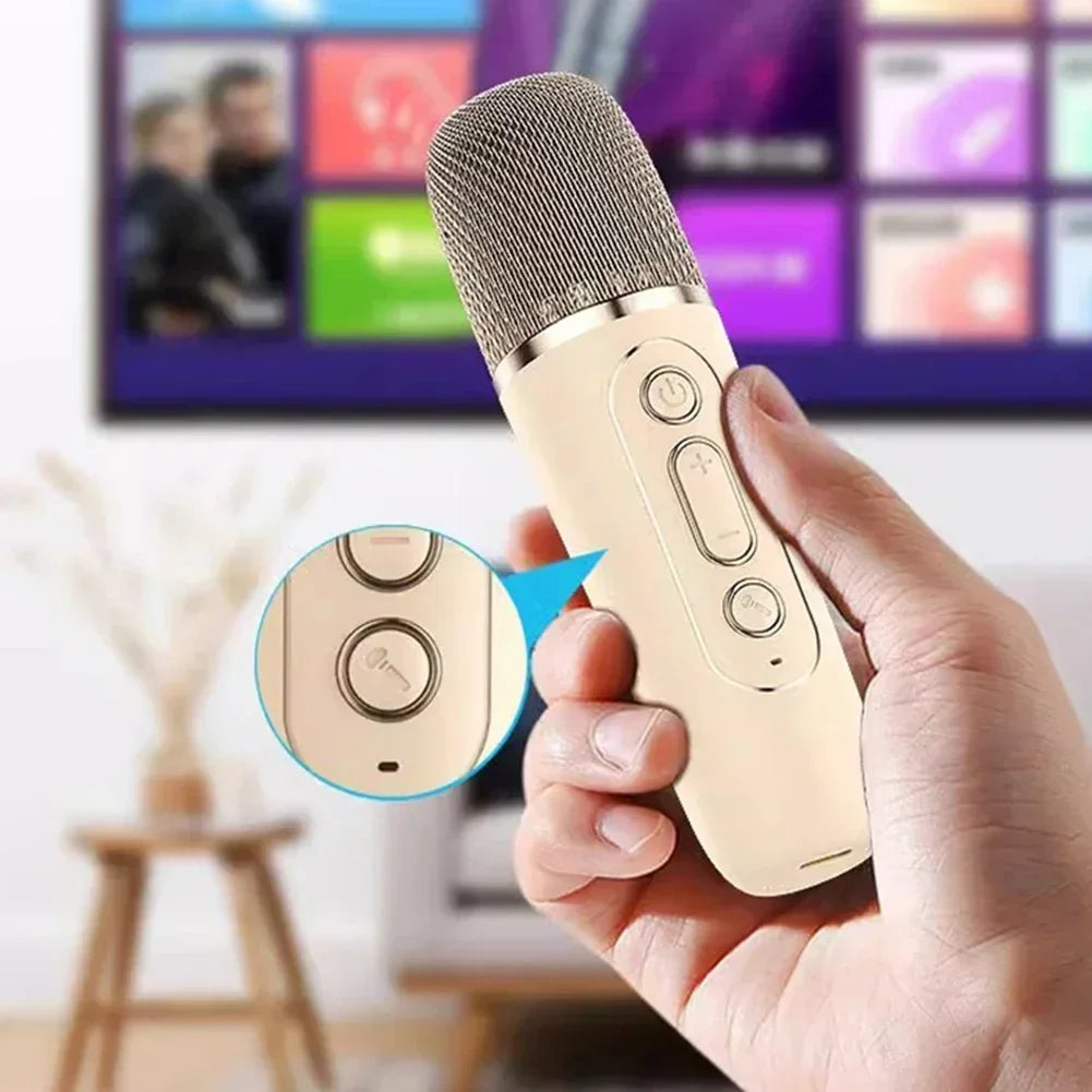 Portable Bluetooth Karaoke Machine with Wireless Microphones – Family Fun, Gift Idea