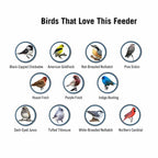Squirrel-Proof Bird Feeder – Outdoor, Garden