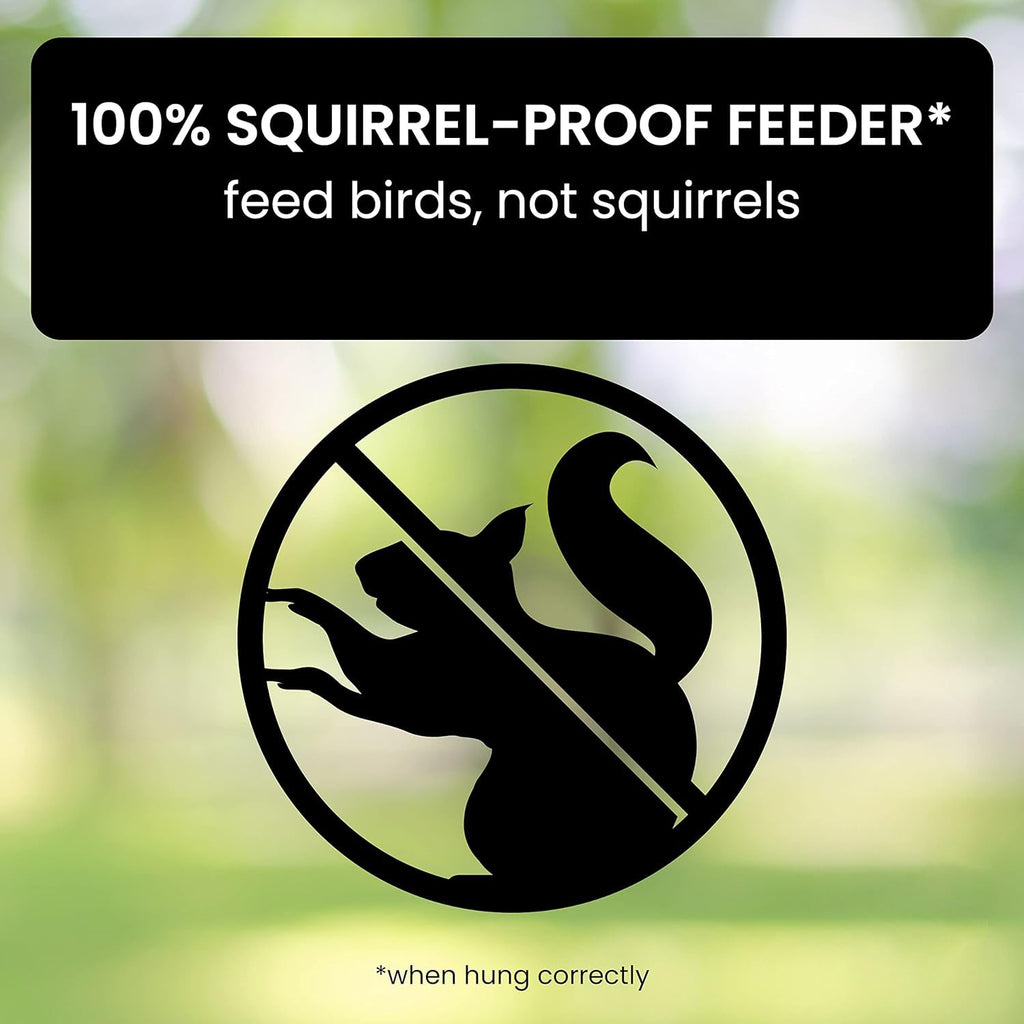 Squirrel-Proof Bird Feeder – Outdoor, Garden