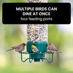 Squirrel-Proof Bird Feeder – Outdoor, Garden