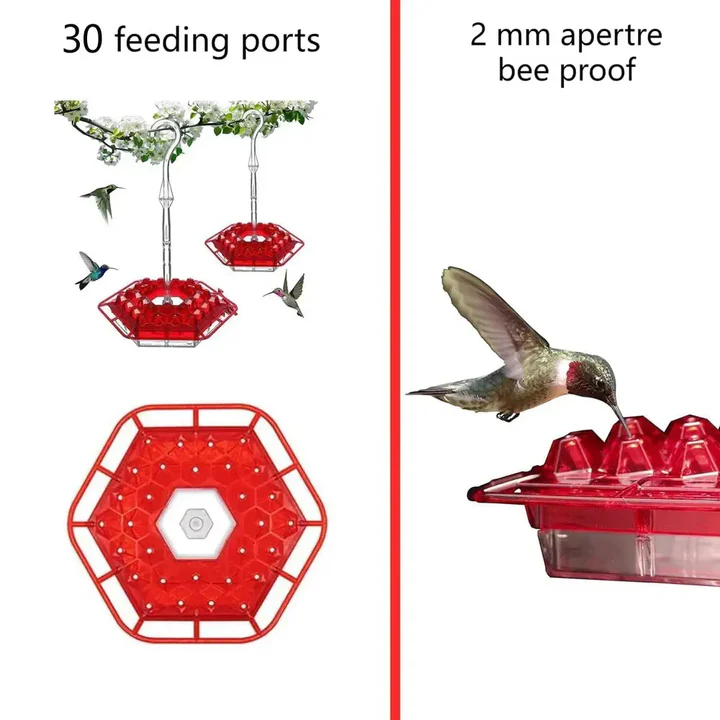 Ant Proof Hummingbird Feeder with Hanging Perch – Outdoor Garden, Patio