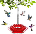 Ant Proof Hummingbird Feeder with Hanging Perch – Outdoor Garden, Patio