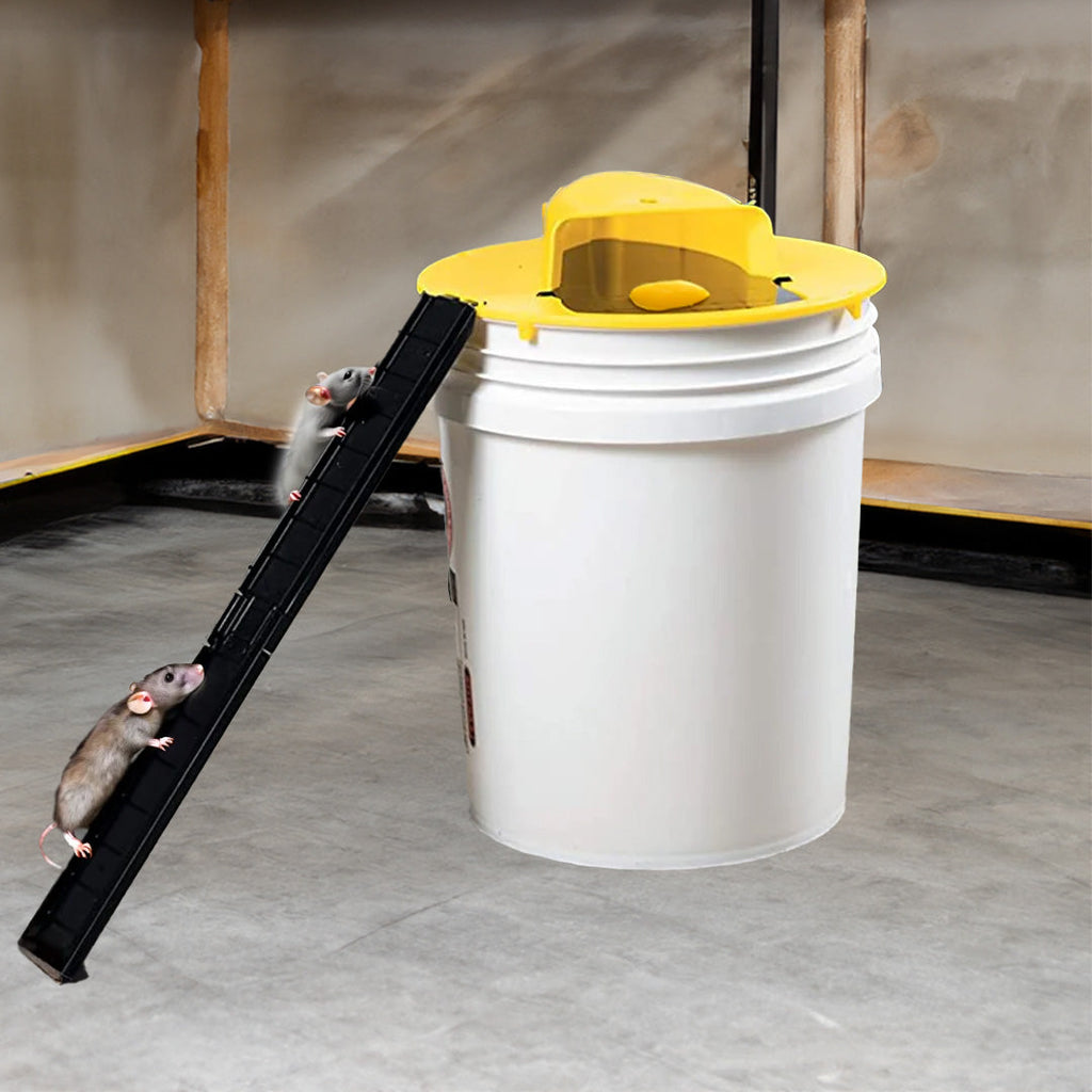 Reusable Humane Mouse Trap – Live Catch, Easy to Use